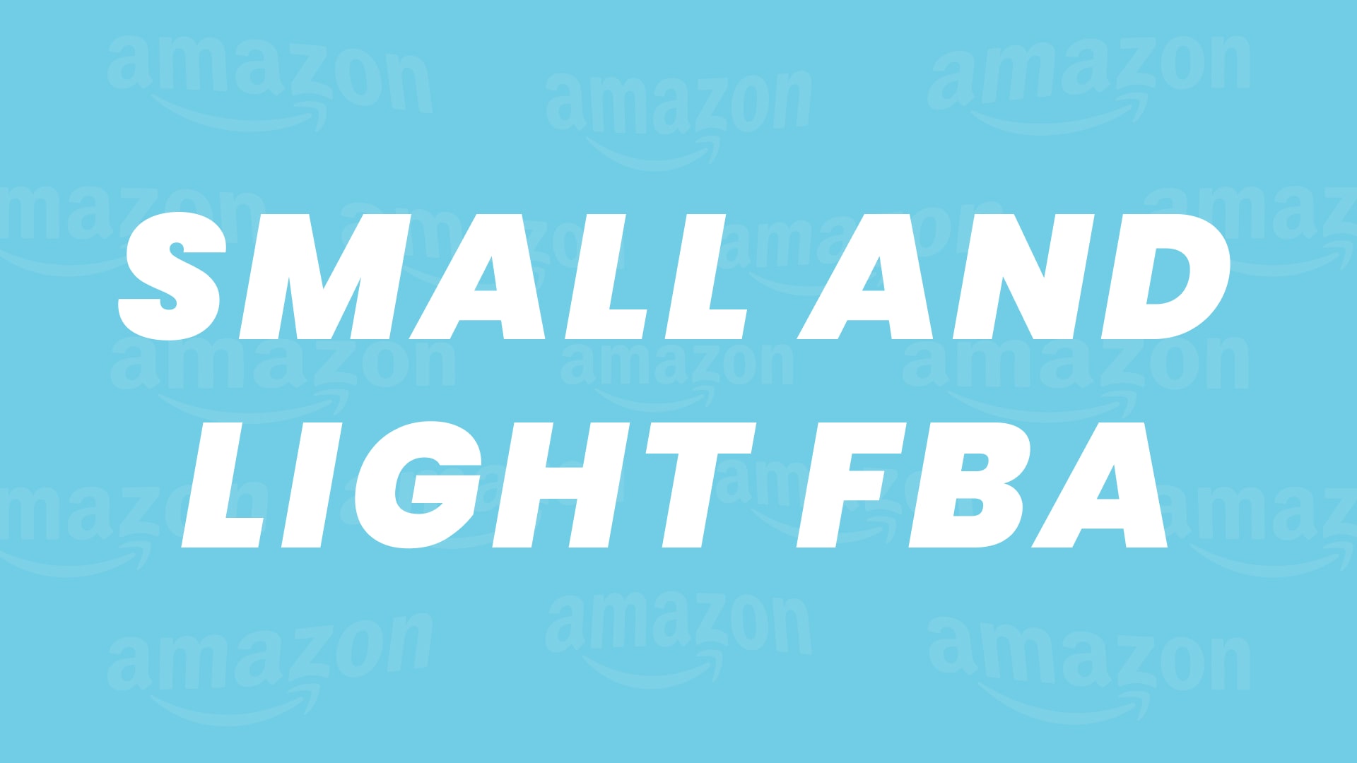 Amazon Small and Light FBA Program A 2024 Guide for Sellers!